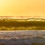 yellow cali sunset surf